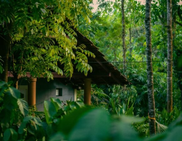 KERALA TOUR PACKAGE 6N/7D NORTH STAR