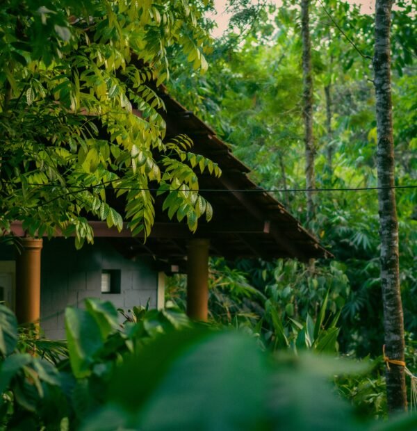 COORG TOUR PACKAGE BY NORTH STAR TRAVELS